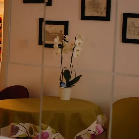 Welcome Apartment